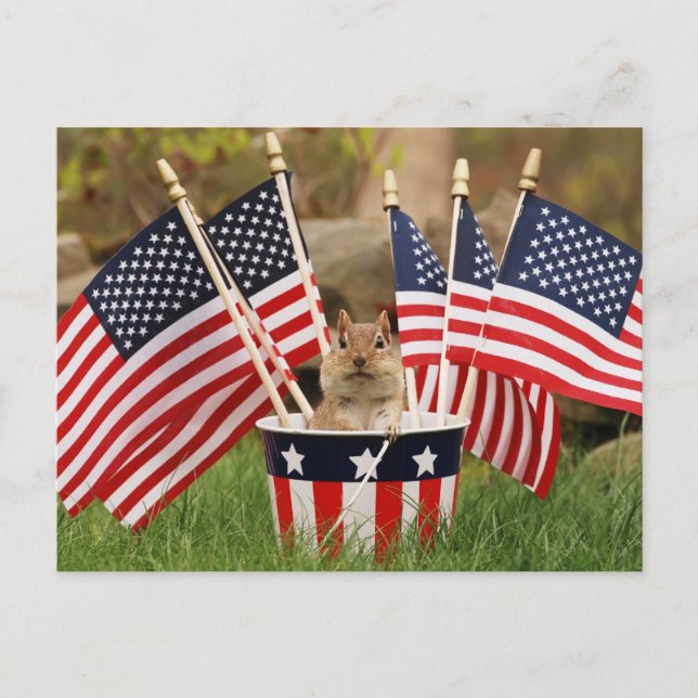 Patriotic Chipmunk Vykort (Framsida)