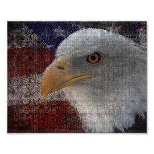 Patriotic Eagle & Flagga Fototryck