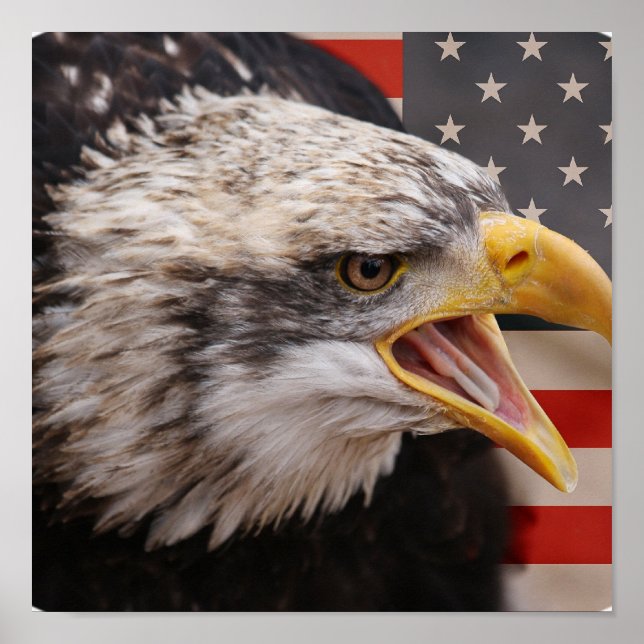Patriotic Eagle Image Poster Skriv ut (Framsidan)