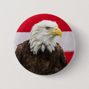 Patriotic Eagle Knapp