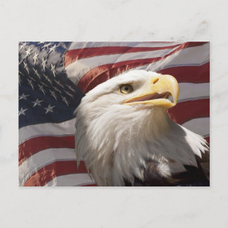 Patriotic Eagle-vykort Vykort
