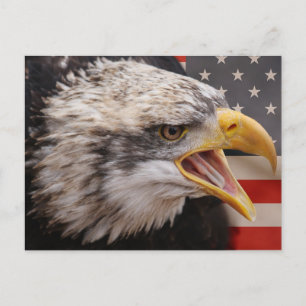Patriotic Eagle-vykort Vykort