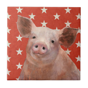 Patriotic Farm - Gris Kakelplatta