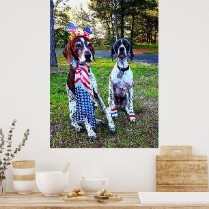 Patriotic Firande Party Hundar Poster