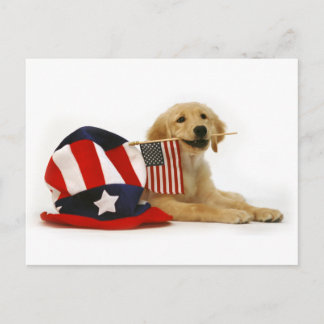 Patriotic Golden Puppy Vykort