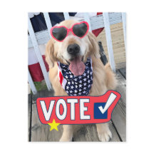 Patriotic Golden Retriever Hund Vote