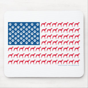 Patriotic Greyhound Hund Musmatta