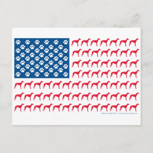 Patriotic Greyhound Hund Vykort