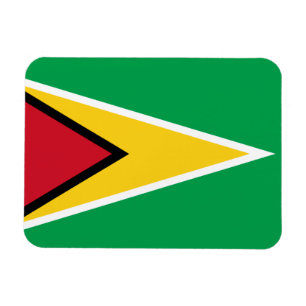 Patriotic Guyana Flagga Magnet