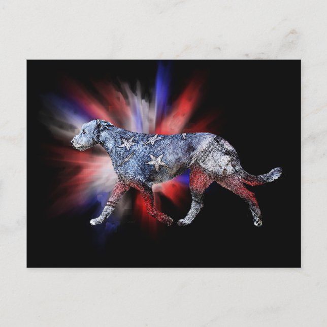 Patriotic Irish Wolfhound Red White och Blue Vykort (Framsida)