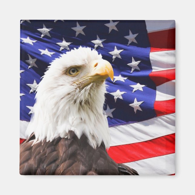 Patriotic Magnet (Framsidan)