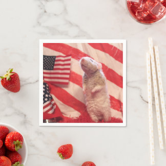 Patriotic Murray Pappersservett