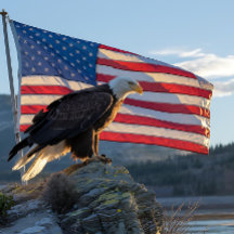 Patriotic Örn framför Amerikanska Flagga