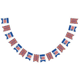 Patriotic Pickleball Rött vitt blått American Flag Vimplar