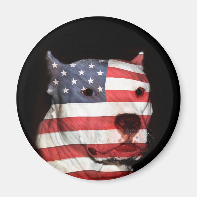 Patriotic pitbull ansikte magnet (Framsidan)