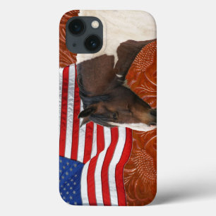 Patriotic US Flagga, Pinto & Faux Leather
