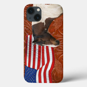 Patriotic US Flagga, Pinto & Faux Leather
