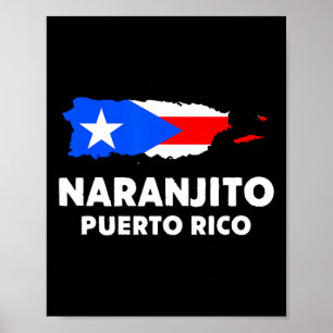 Patriotic USA flagga Naranjito Poster