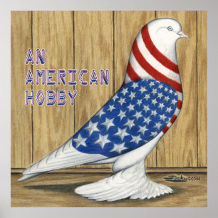 Patriotic Väster Pigeon Poster