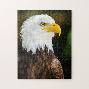 Patriotic Vuxen American Örn Pussel