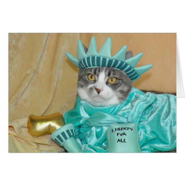 Patriotisk 4th av Juli det gråa tabby kattkortet Hälsningskort (Framsidan Horizontal)