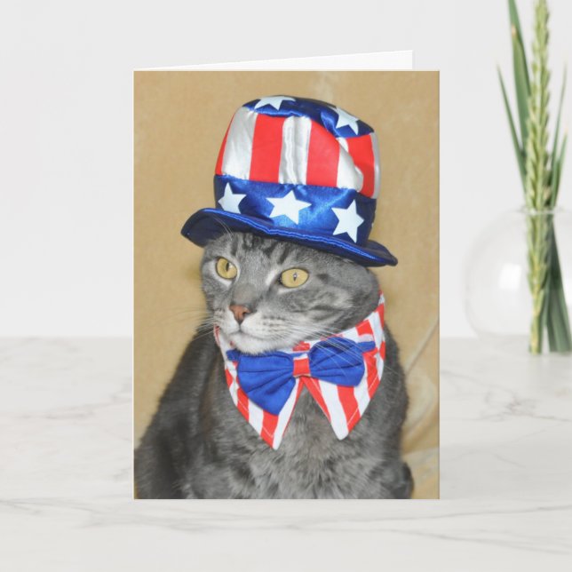 Patriotisk 4th av Juli det gråa tabby kattkortet Kort (Framsida)