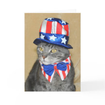 Patriotisk 4th av Juli det gråa tabby kattkortet