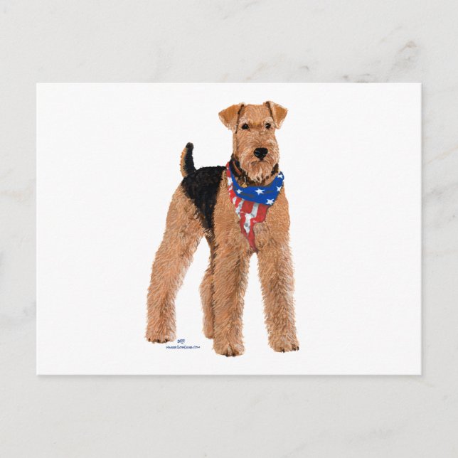 Patriotisk Airedale Terrier Vykort (Framsida)