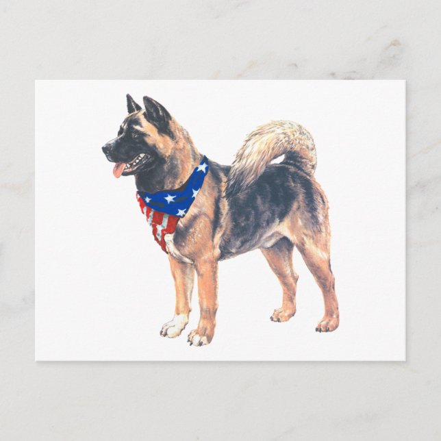 Patriotisk Akita Vykort (Framsida)