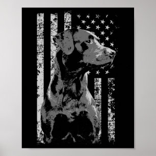 Patriotisk amerikansk flagga Svart Labrador-presen Poster