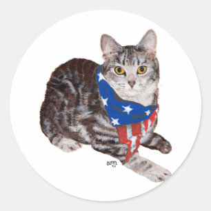 Patriotisk amerikansk korthårig tabbymkatt runt klistermärke