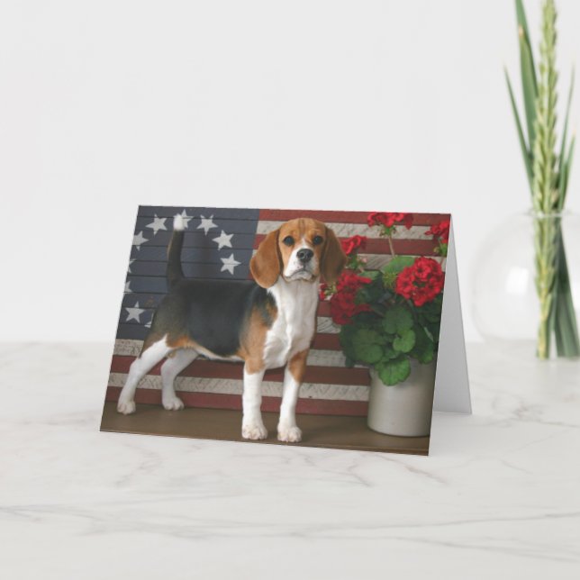 Patriotisk Beagle Kort (Framsida)