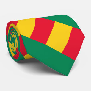 Patriotisk Benin Flagga Halsduk Knytning Slips