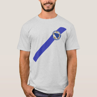 Patriotisk BiH T-tröja Jersey - Ibisevic 9 Tröja