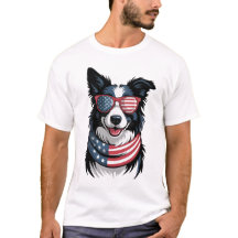Patriotisk Border Collie