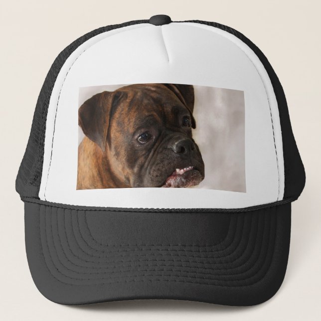Patriotisk boxerhundshatt keps (Framsida)