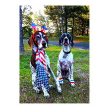 Patriotisk firande partihundar