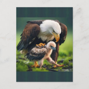 Patriotisk Fiskgjuse Fars Dag Vilda Livs Presenter Helg Vykort