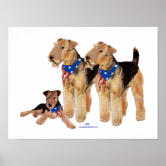 Patriotisk flagg trio poster (Framsidan)