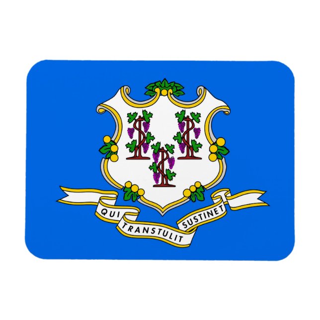 Patriotisk flexibel magnet med Connecticut flagga (Horisontell)