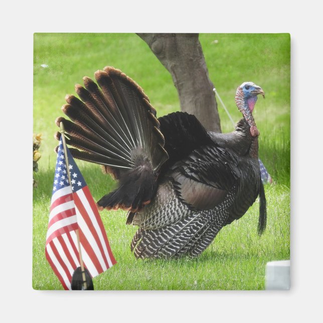 Patriotisk Kalkonparad Magnet (Framsidan)