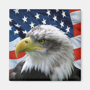 Patriotisk örnamerikanska flaggan magnet