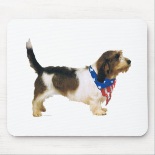 Patriotisk Petit Basset Griffon Vendeen Musmatta