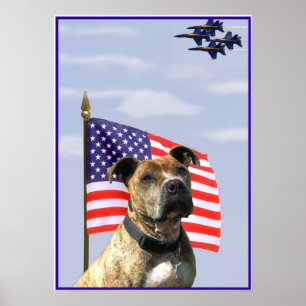 Patriotisk pitbullaffisch poster