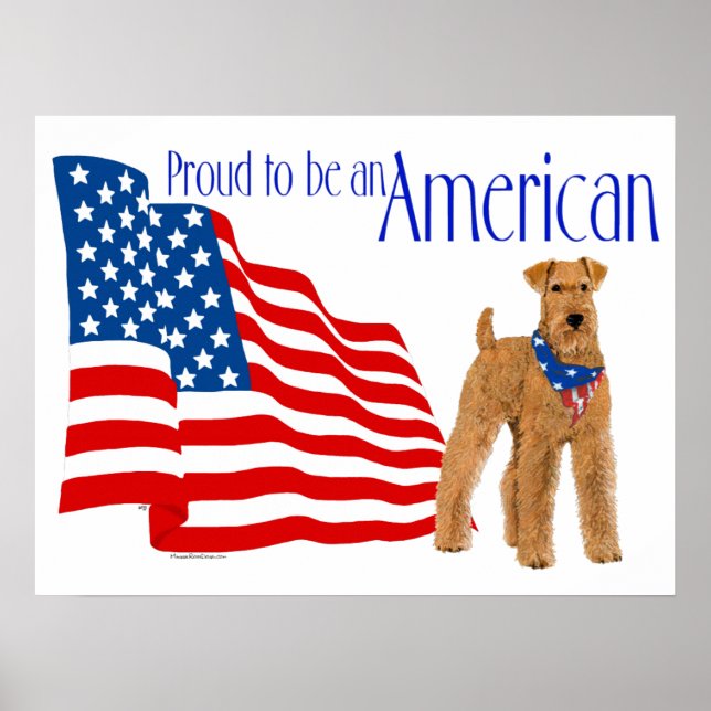 Patriotisk stolthet i Amerika Poster (Framsidan)