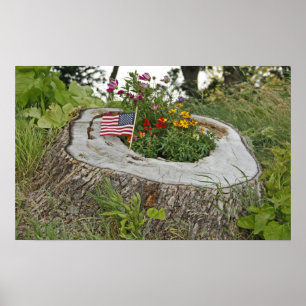Patriotisk stubbe poster