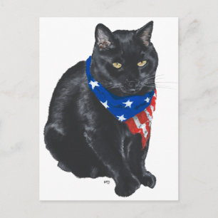 Patriotisk svart katt vykort