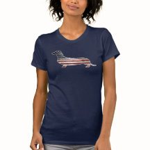 Patriotisk taxhund, amerikanska flaggan