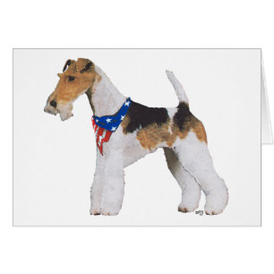 Patriotisk trådhårig foxterrier hälsningskort