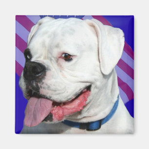 Patriotisk vitboxaremagnet magnet